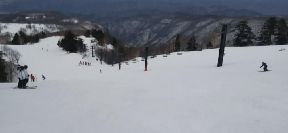 天元台こぶ