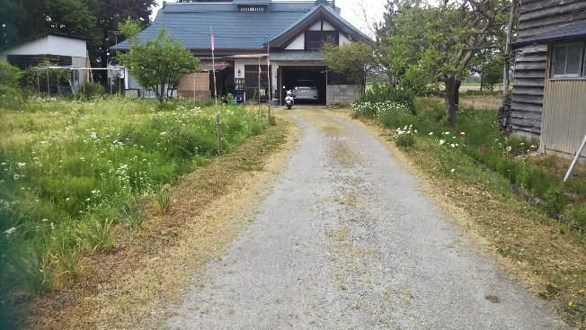 今朝の我が家前