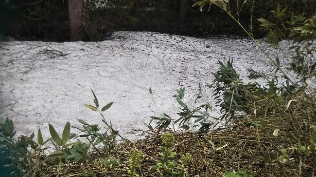 残雪