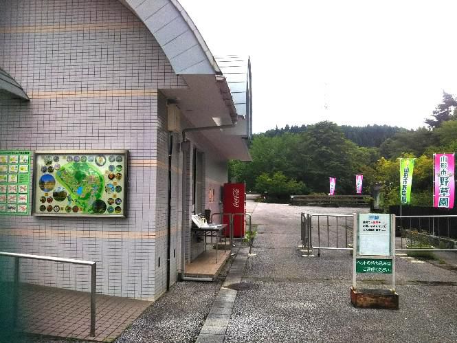 蔵王　野草園