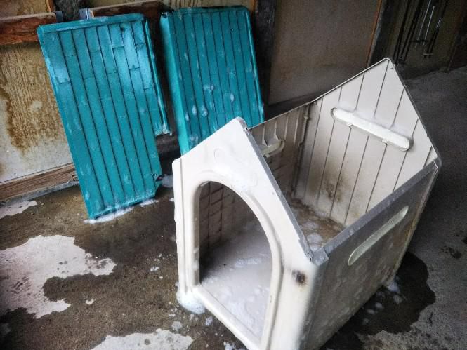 犬小屋修理