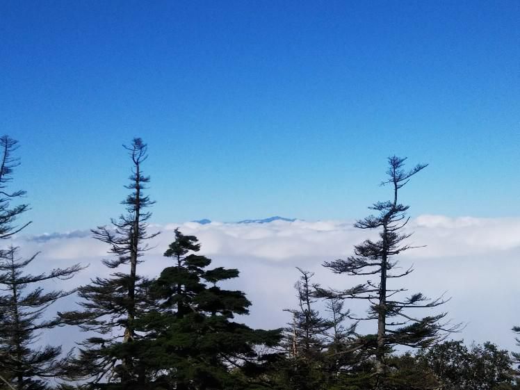 雲海