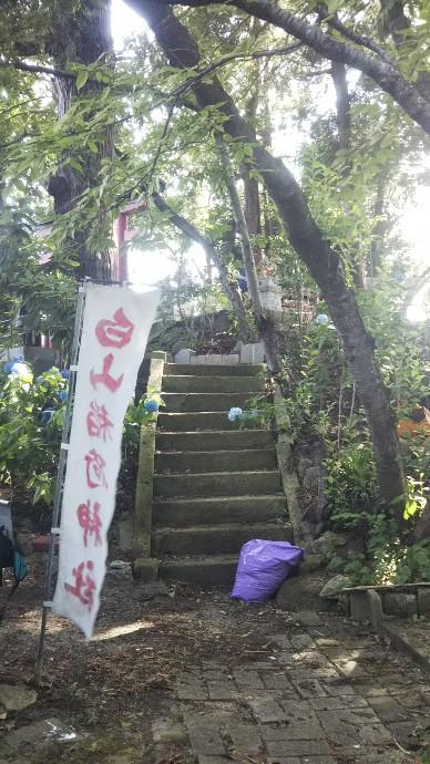 ぐるっと長井の館巡り　白山館