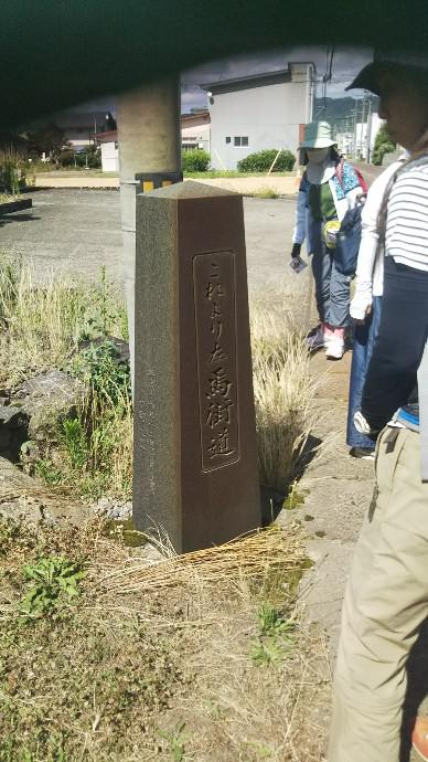 ぐるっと長井の館巡り（馬街道）