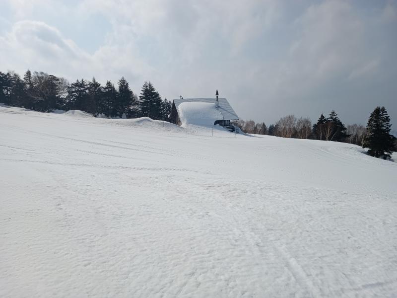 昨年と今年の雪比較