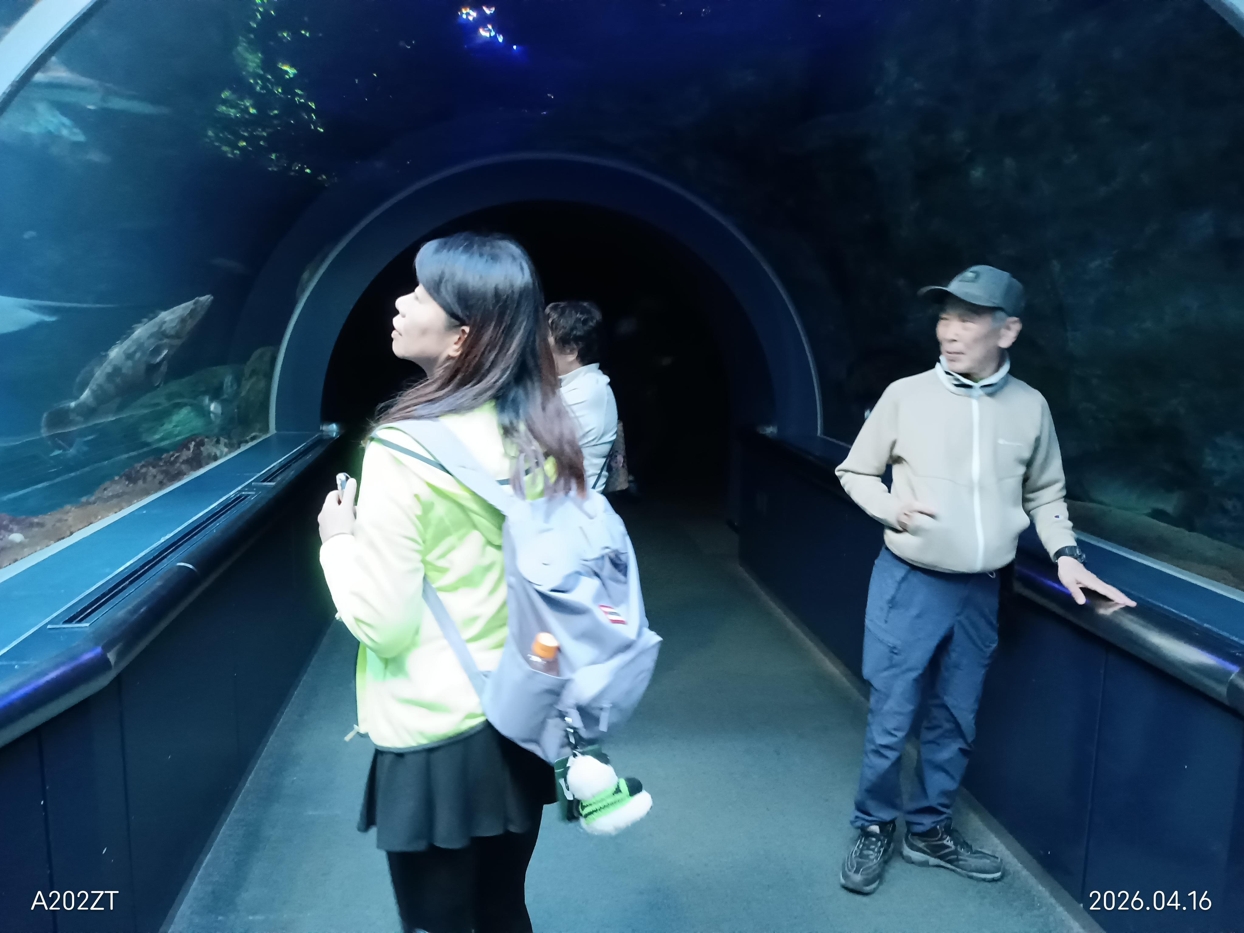 マリンピア日本海（新潟市）その２