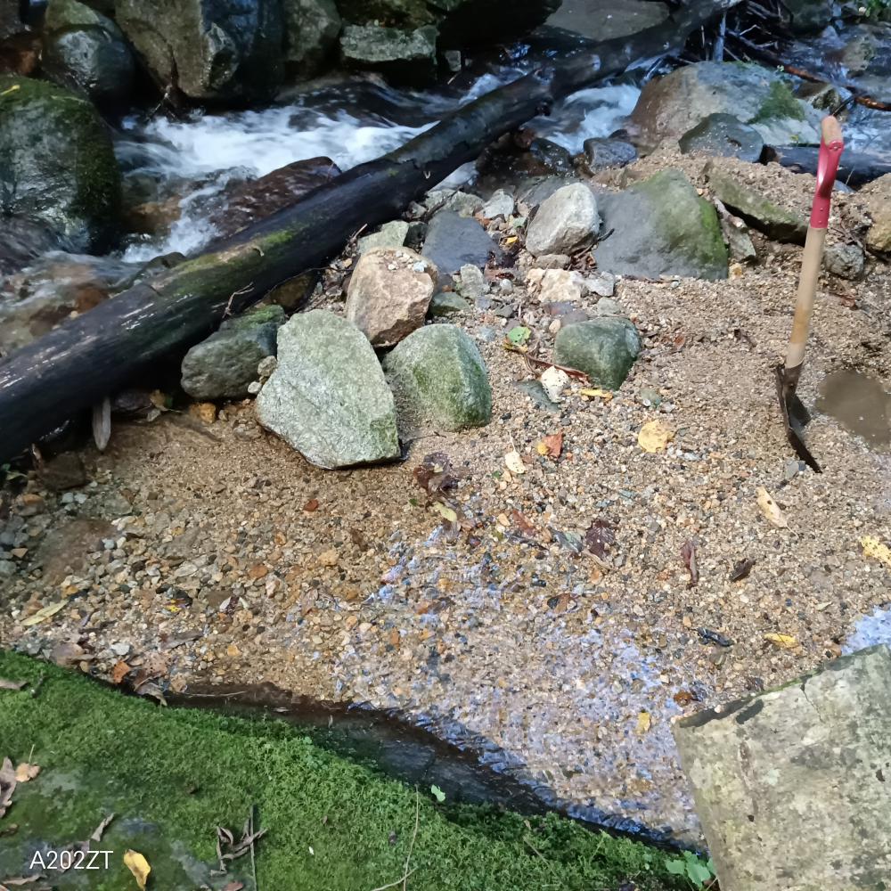 沢水の受水槽掃除