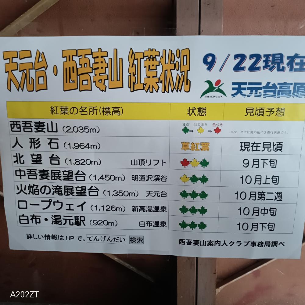天元台・西吾妻山紅葉状況9月22日