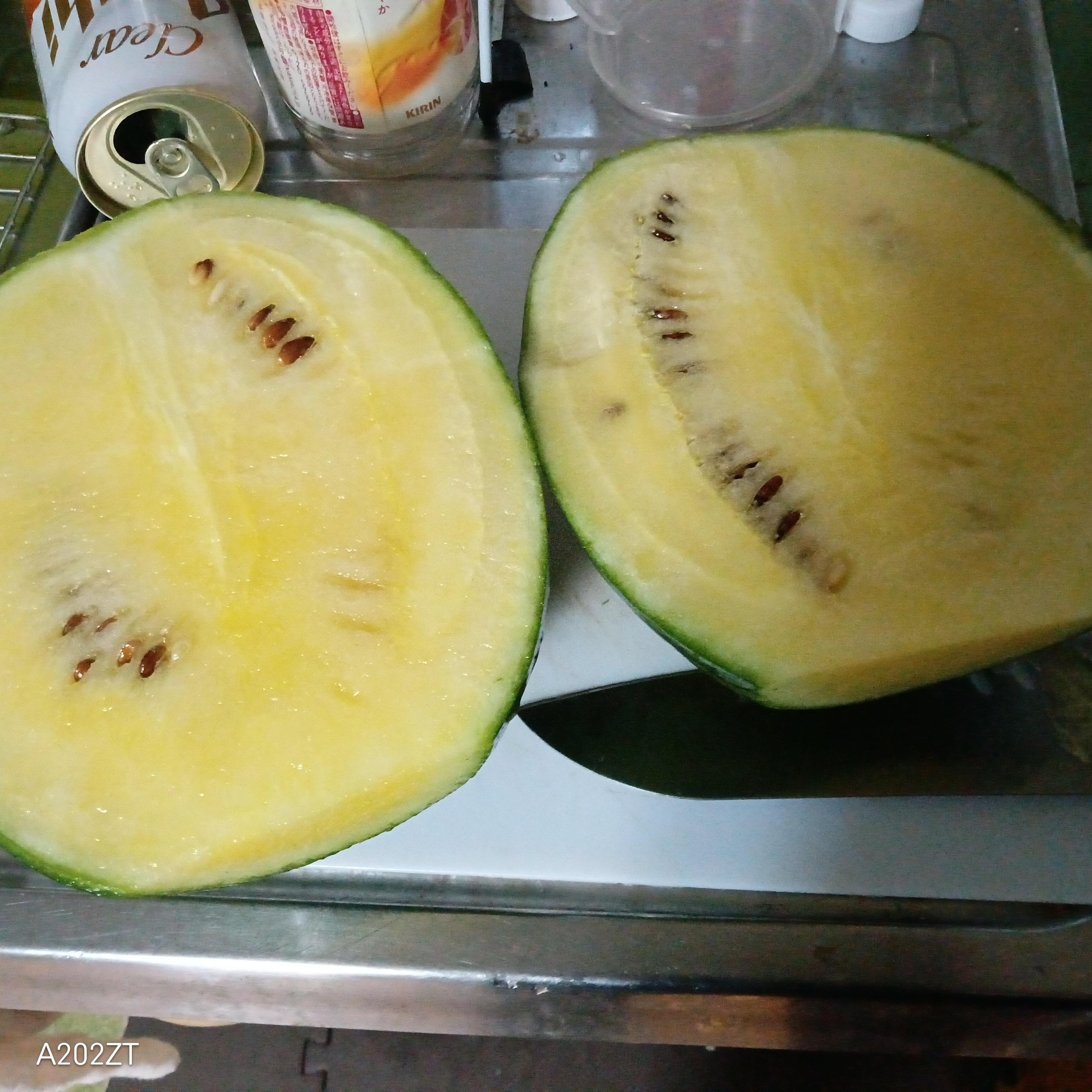我が家のスイカ