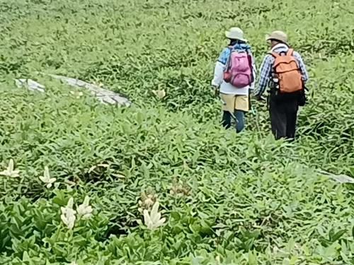 一切経登山・釜沼