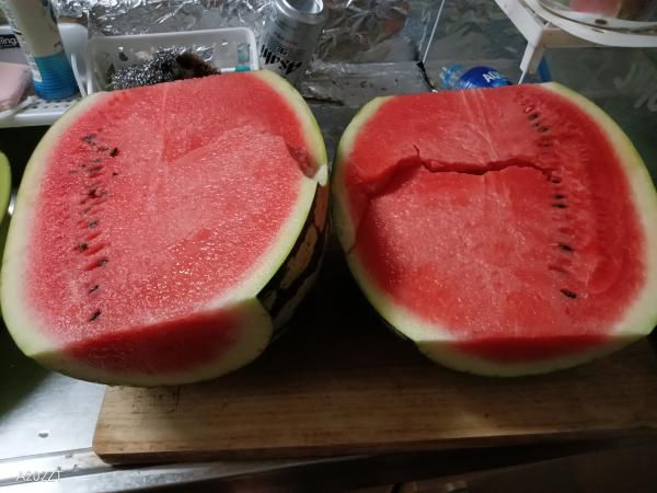 我が家のスイカ