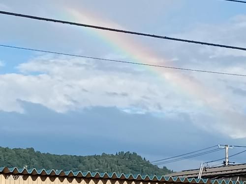 虹