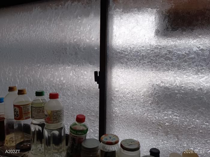 今朝の冷え込み