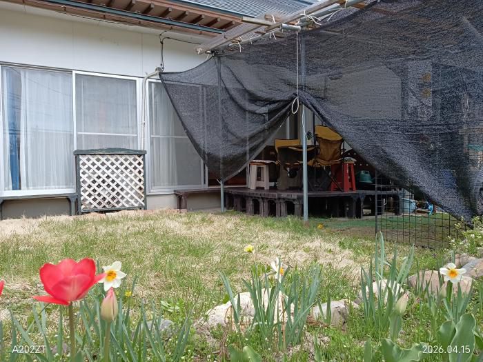 庭のころも変え