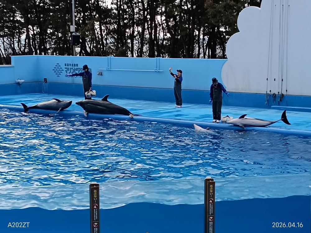 マリンピア日本海（新潟市）