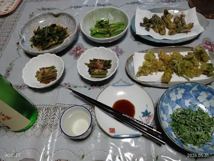 山菜尽くしで晩酌