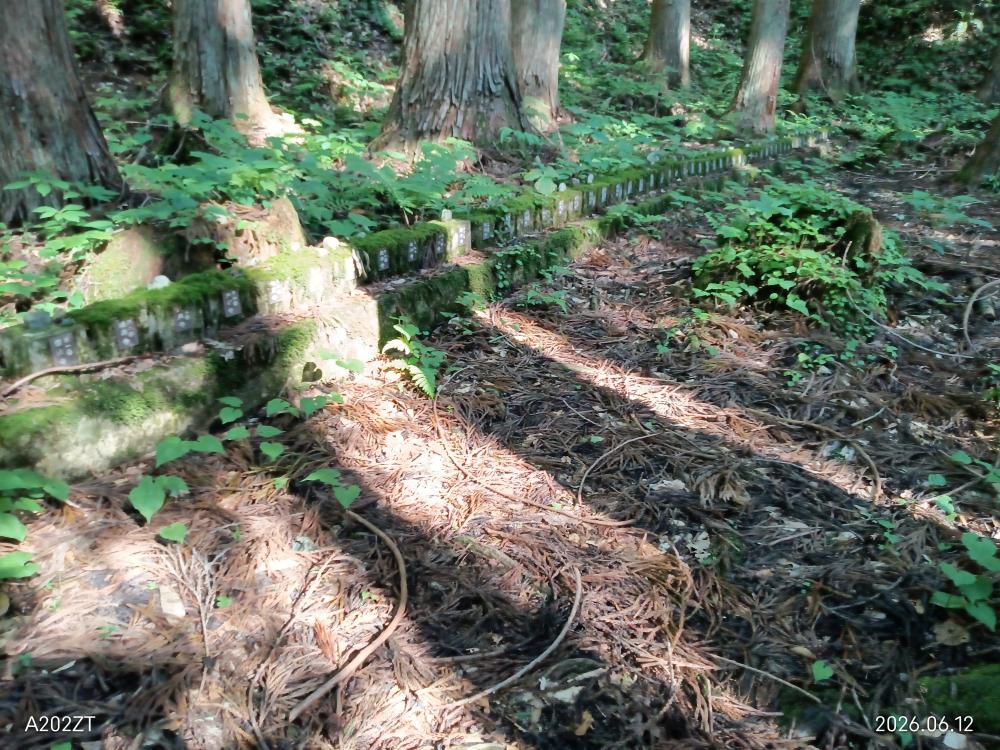 白布温泉（四国八十八か所巡りの石像）