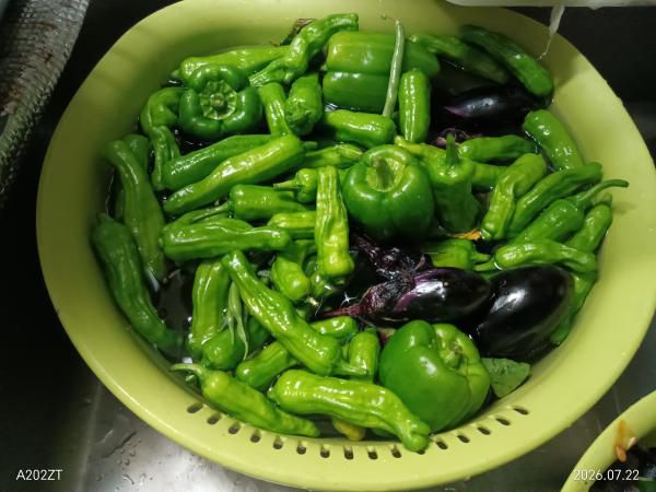 夏野菜
