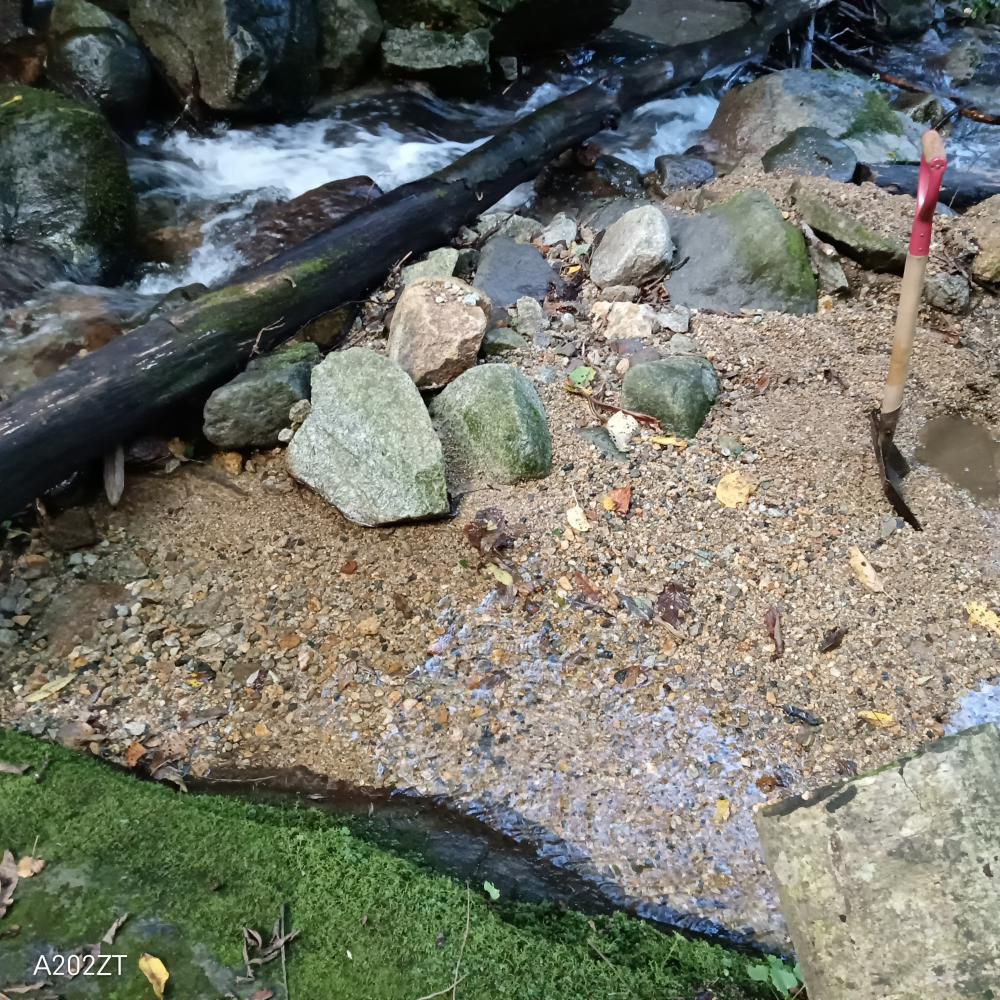 沢水の受水槽掃除
