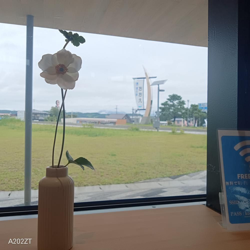 道の駅「おおえ」