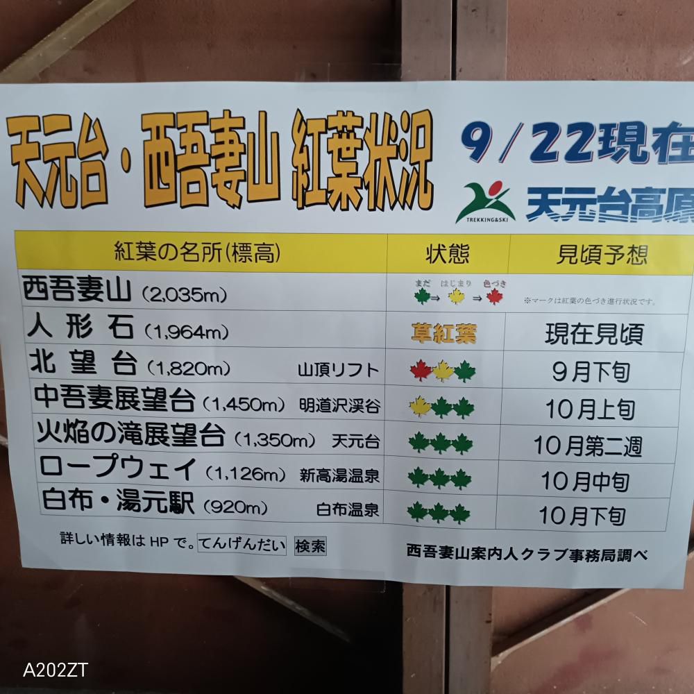 天元台・西吾妻山紅葉状況9月22日