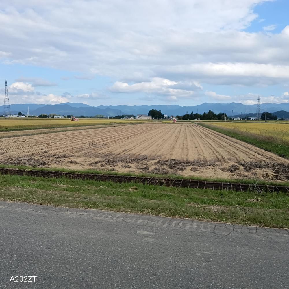 窪田地区の稲刈り様子