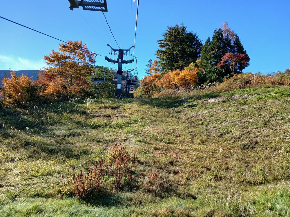 天元台紅葉