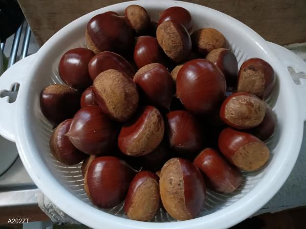 お裾分けの栗