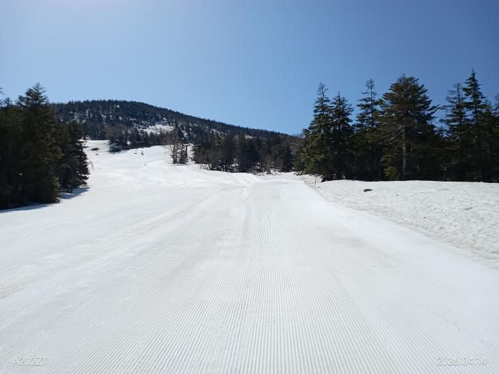 天元台でスキー