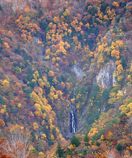 最上川源流の滝