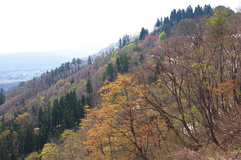 春紅葉の風景