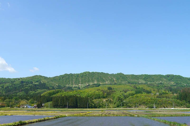 新緑の斜平山