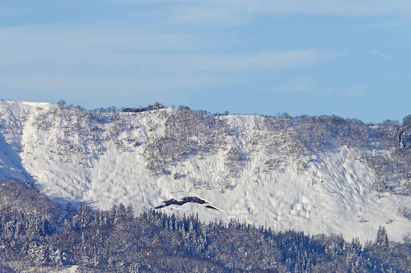 斜平山の雪崩