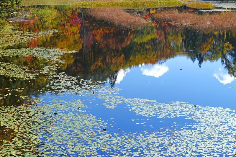 斜平山の紅葉