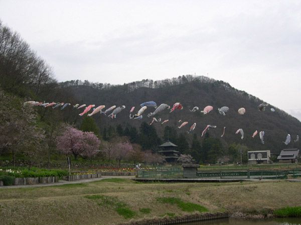 歴史公園　鯉のぼり