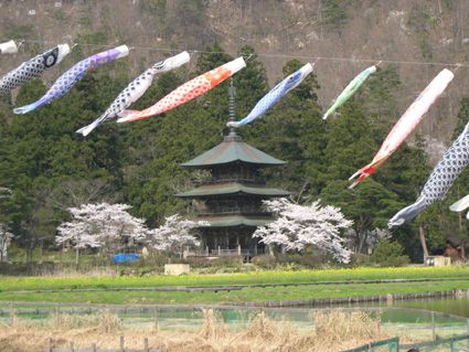 満 開 ☆　　４月２１日(月)