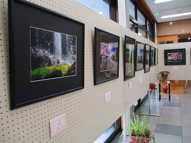 今月の展示会