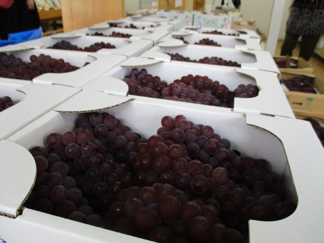 夏の特産物