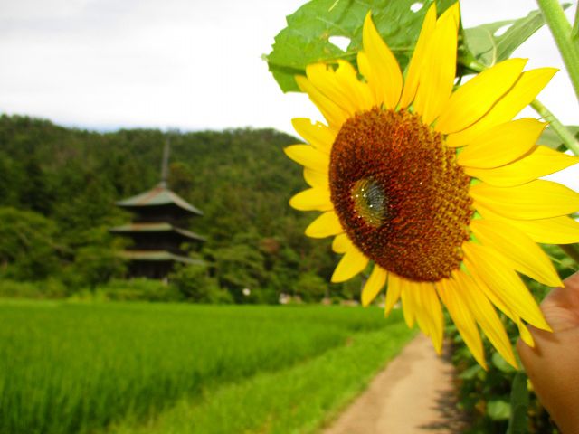 おかえりなさい