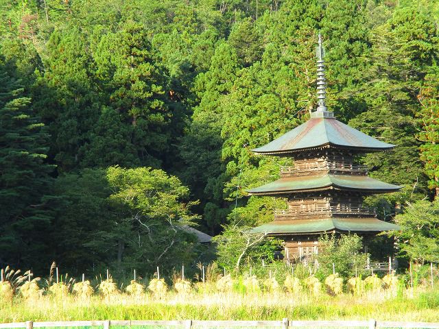 そろそろ秋ですね♪