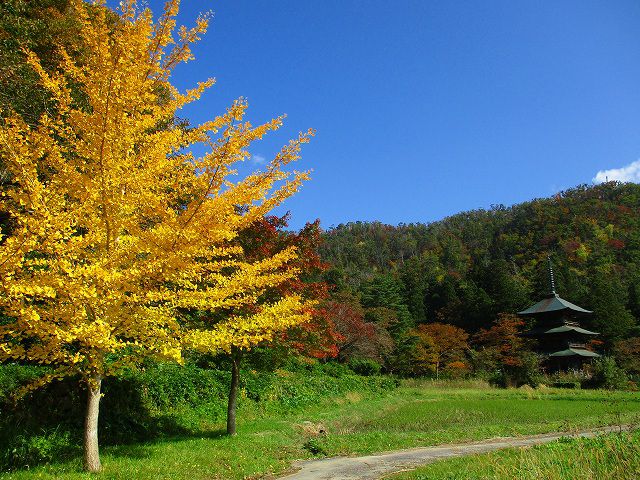秋晴れ♪