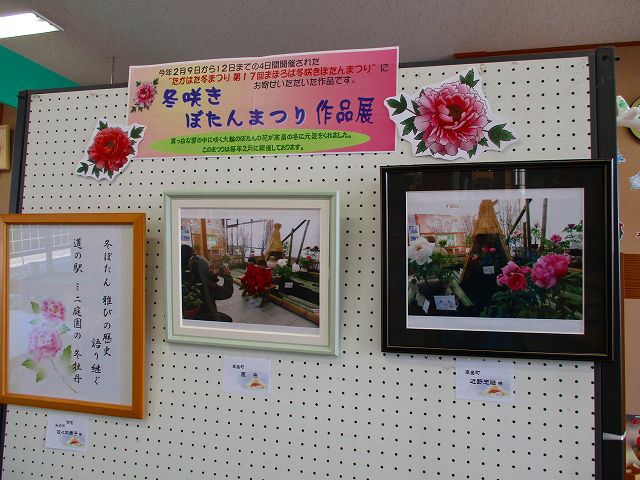 「冬咲きぼたんまつり作品展」開催中♪