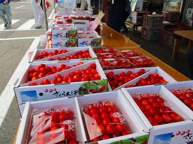 さくらんぼ販売中です♪
