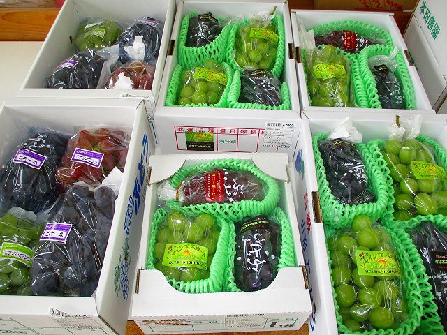 大粒ぶどうが続々入荷中です♪
