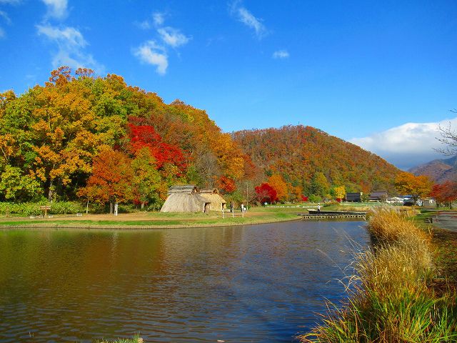秋の紅葉、今が見頃です！
