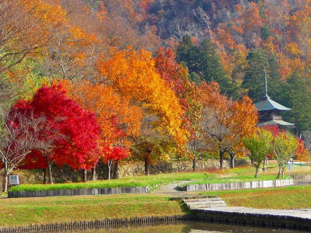 紅葉まだまだ見頃です！