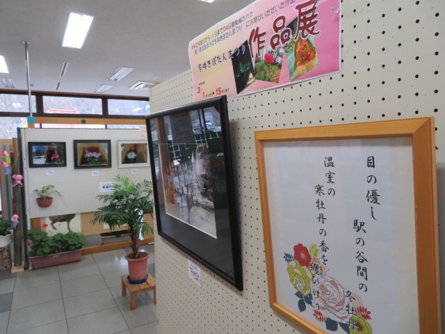 『まほろば冬咲きぼたんまつり作品展』 始まります♪