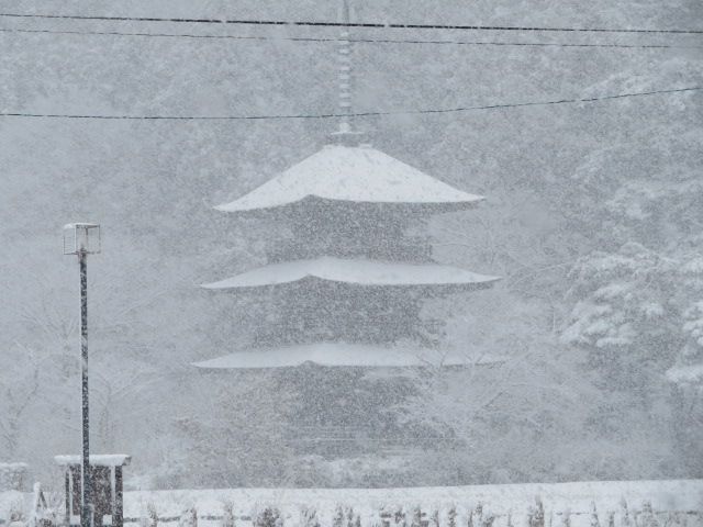 雪！