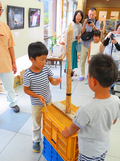 「かぶと虫すもう大会」開催！！