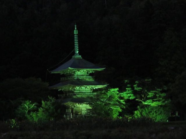 三重塔ライトアップ中です☆